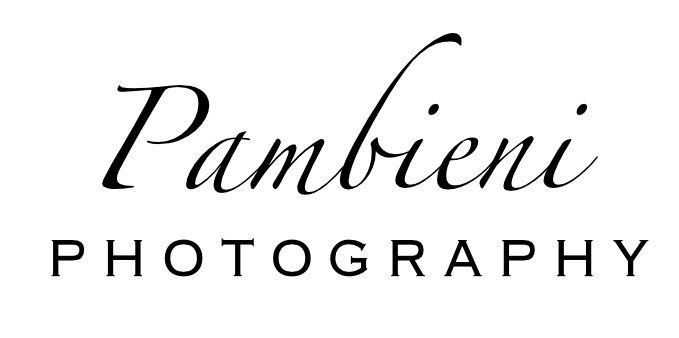 Logo Pambieni Photography, People Shooting, Fotografin aus Hamburg